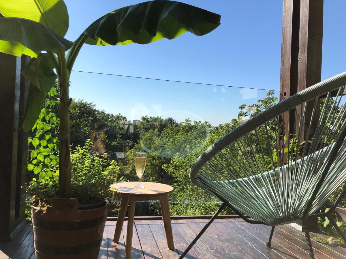 彼得罗瓦拉丁Pergola House In A Green Oasis With Fantastic View公寓 外观 照片