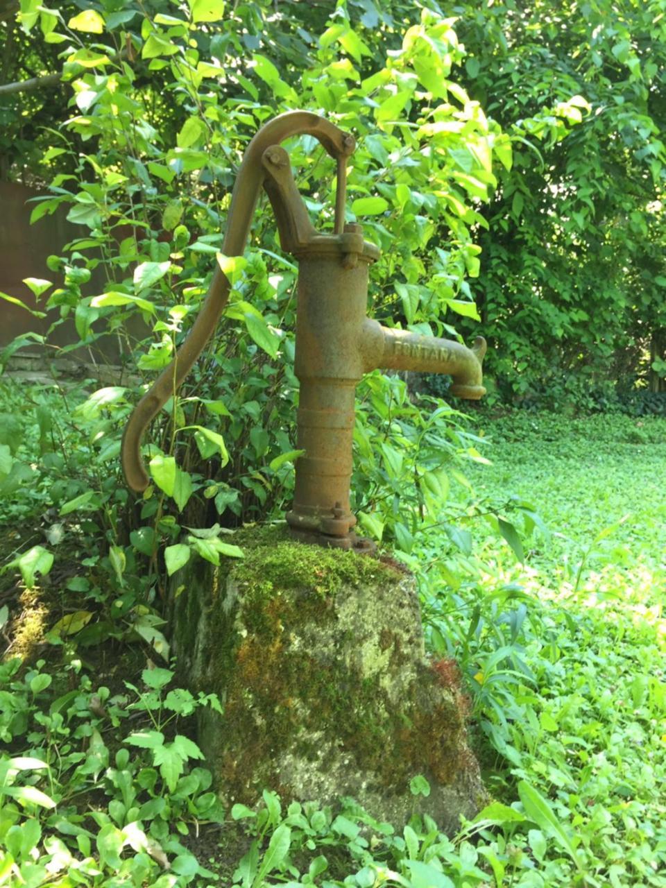 彼得罗瓦拉丁Pergola House In A Green Oasis With Fantastic View公寓 外观 照片
