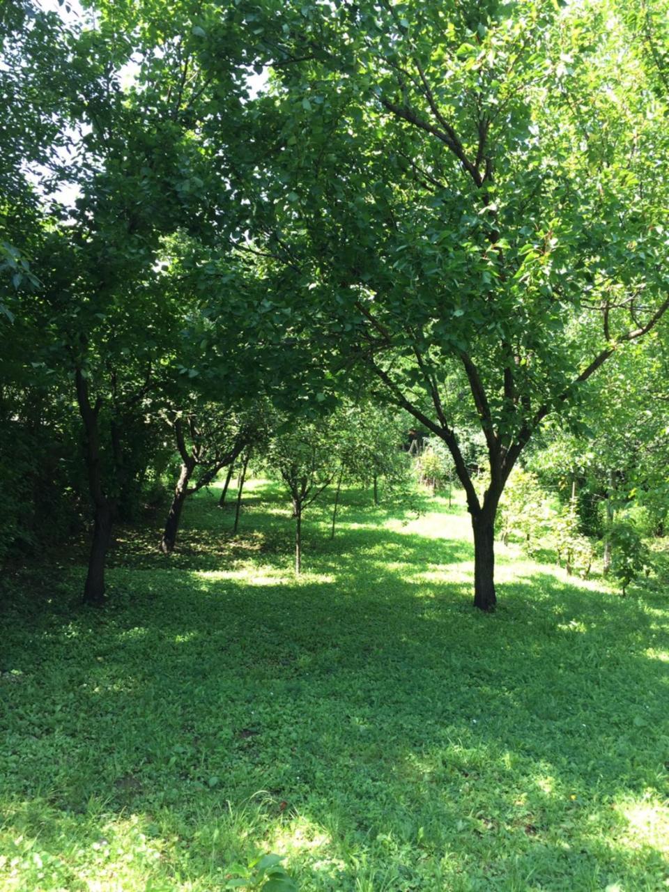 彼得罗瓦拉丁Pergola House In A Green Oasis With Fantastic View公寓 外观 照片