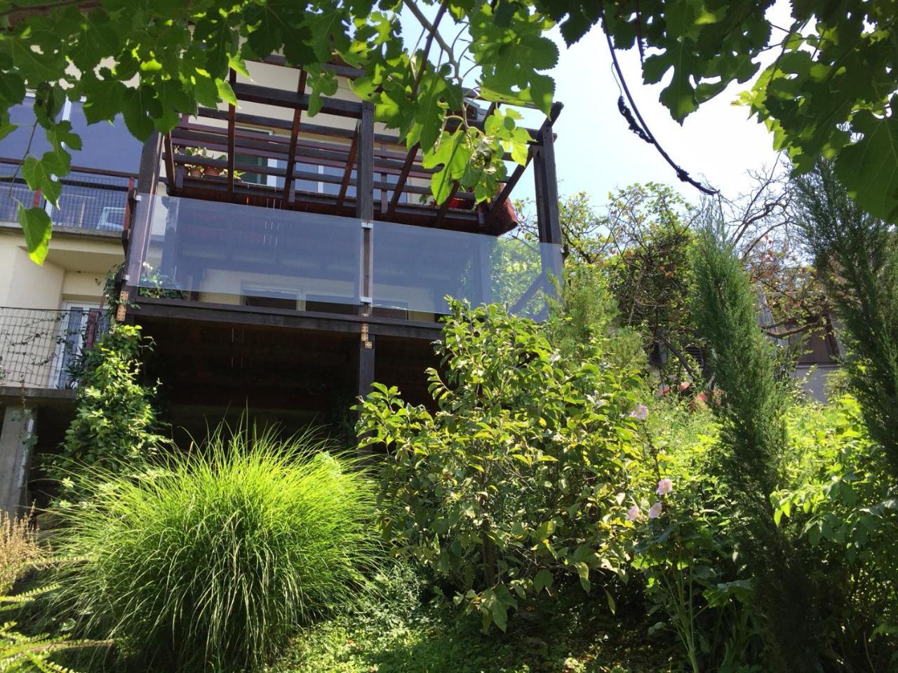彼得罗瓦拉丁Pergola House In A Green Oasis With Fantastic View公寓 外观 照片